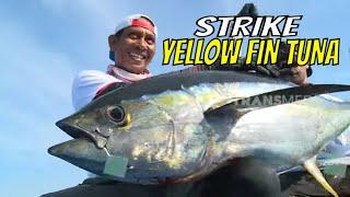 Berburu Yellow Fin Tuna & Lemadang di Laut Morotai  MANCING MANIA STRIKE BACK 170623 Part 1
