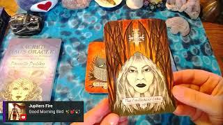 Sacred Hags Oracle first impressions  Thank you Jupiter for sending me this deck 