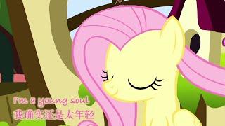 Fluttershy-centricPMV New Soul