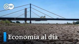 El cambio climático abrasa Europa y amenaza con pérdidas millonarias a la agricultura e industria.