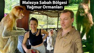 Su Köyü Orangutan Timsah ve Hortum Burunlu Maymunlar Pazarlar -  Malezyaya Bakışınız Değişecek