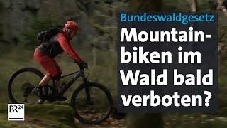 Bundeswaldgesetz Geleakter Entwurf lässt Mountainbiker bangen  Abendschau  BR24