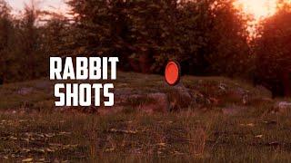 Rabbit Targets in Sporting Clays Pro Tips from 3-Time National Champion Zachary Kienbaum
