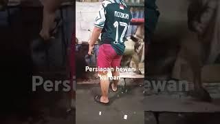 Hewan qurban idul adha #hewanqurban #iduladha #shorts #lebaran #qurban