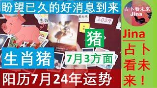 生肖猪阳历7月2024年 渴望已久的好消息终于到来了3个方面在事业 财富 感情上，焦点 运势趋势 发布于2024年6月24日