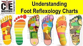 Understanding Foot Reflexology Charts Generally Accepted Reflex Points