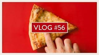 Der Sta­tus quo  Vlog #56