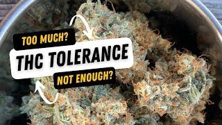 How much THC do you need? Tolerance Explained