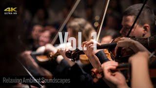 Relaxing Classical Music Vol.1 Hi-Res 24-bit 192kHz FLAC Audio