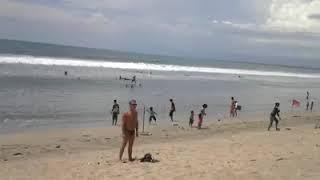 VIRAL BULE MANDI DI PANTAI