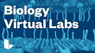 Labster Biology Virtual Labs