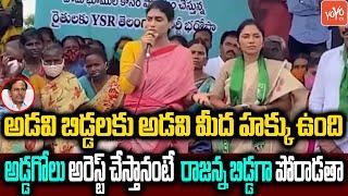 YS Sharmila Fires On Forest Officers & TRS Govt  CM KCR  TRS Vs YS Sharmila  YOYO TV Channel