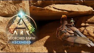 Return Of The Rats Scorched Earth Official Small Tribes Pvp