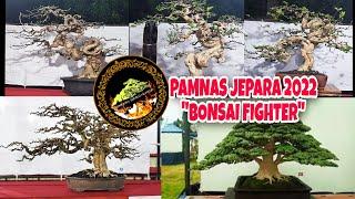 INDONESIA BONSAI FIGHTER Pameran Bonsai Jepara 2022 Suasana Pamnas Jepara Luar Biasa