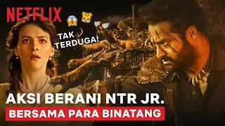 EPIC NTR Jr. & Para Binatang Nyerang Markas Musuh  RRR  Clip