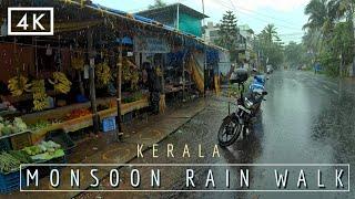 Mind Refreshing walk in Kerala Monsoon Rain  ASMR Rain and Thunder sounds  4K60fps