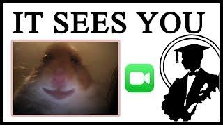 What Is The Creepy Hamster Looking At?  Lessons in Meme Culture