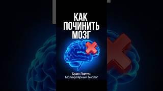 Измените свой мозг за 20 минут с техникой Брюса Липтона