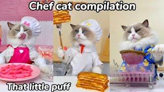 Chef Cat Compilation  That Little Puff