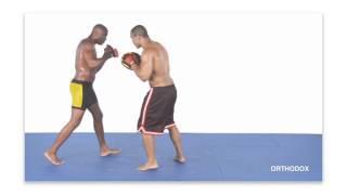 Anderson Silva Striking Combos For MMA  With English Subtitles CD1