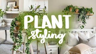How to Create Beautiful Plant Spaces  planterior design tips