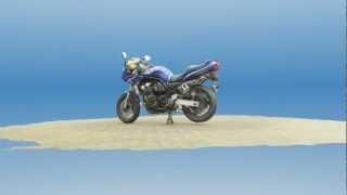 Yamaha FZS600 3D Capture