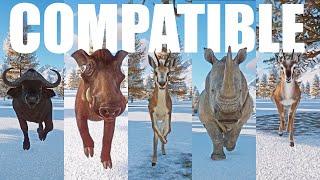 Compatible Species Category Speed Races in Planet Zoo included Buffalo Warthog Springbok etc