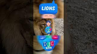 DJC Kids ROARsome Rendezvous 5 Mind-Blowing Facts About Lions   Kids Safari Spectacle