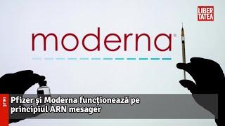 Diferențele între cele patru vaccinuri care vor fi folosite în România