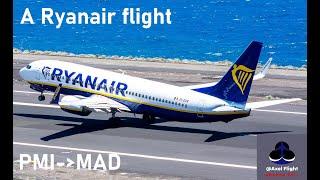 Flight Report  Ryanair Palma to Madrid Excellent Flight by Boeing 737-800