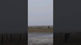 Fog in Midwestern Solar Farm Construction