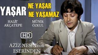 Yaşar Ne Yaşar Ne Yaşamaz Türk Filmi  FULL  HD  Halit Akçatepe