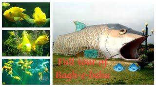 Jammu beautiful  underground aquarium   Bagh-e Bahu   famous tourist place 