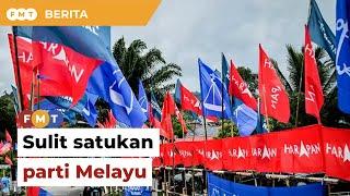 Politik tenang sukar cari ketua sulitkan penyatuan parti Melayu