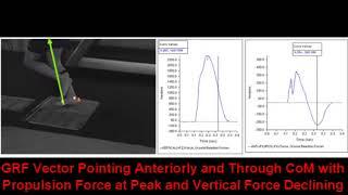 Midfoot Striker Ground Reaction Force Vector Analysis