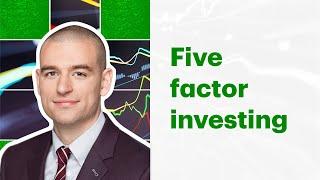Five risk factors I use to build my portfolio