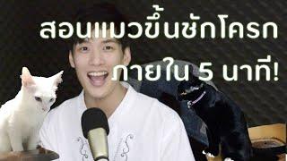 EP.1 สอนแมวขึ้นชักโครกภายใน 5นาที