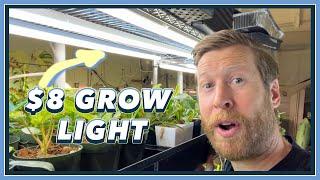 DONT BUY Grow Lights