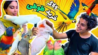 ولاگ خرید حیوان خانگی جدیدمون، عضو جدید اسمیت فم بازار پرندگان تهران Pet vlog  funny parrots