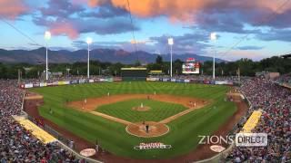 Salt Lake Bees - Speaking on Business