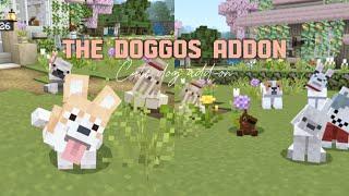 ⋆𐙚 Minecraft Be ˚⋆cute pet add-on  The Doggos Wolf Textures v1.16 - 1.21+ แอดออนน้องหมาสุดคิ้วทึ