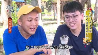 萌寵攻略│動物大明星 超Q狐獴萌你心