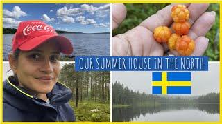 *NEW* VLOG  Life in SWEDEN  forest + waterfront + picking berries 