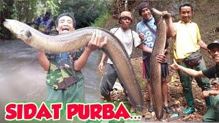 VIRAL... ‼️KUMPULAN STRIKE SIDAT RAKSASA SIDAT PURBA YANG PERNAH TEREKAM CAMERA  BIG EEL