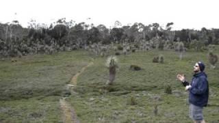 Cradle Mountain National Park Tasmania Echoes