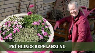 Frühjahrs-Refresh Einfache Anleitung zur Neugestaltung deiner Kübelpflanzen