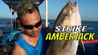 Berburu Amberjack di Teluk Biru Banyuwangi  MANCING MANIA STRIKE BACK 100623 Part 1