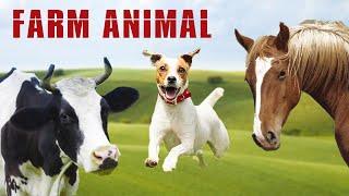 Farm Animal Sounds - Animal Sound Effect