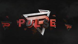 New owner Of team Pulse