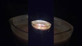 Big candle on peaceful summer night asmr w dog